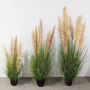 仿真植物芦苇假草拂尘商场酒店橱窗摆件绿植芦柴干花芦苇场景搭配