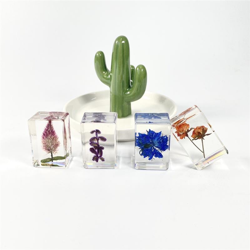 真植物标本昆虫标本树脂摆饰满天星玫瑰透明琥珀干燥花标本生日礼