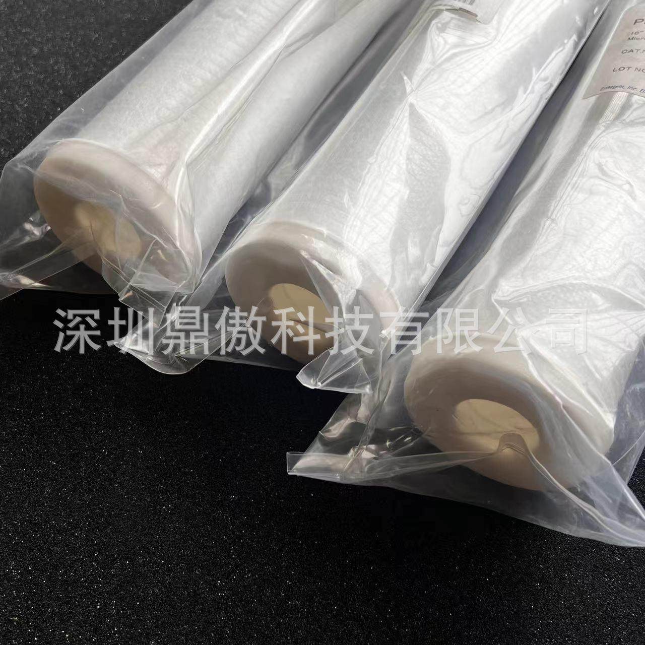 Mykrolis 滤芯 CR10F1006/CB2AA10R1