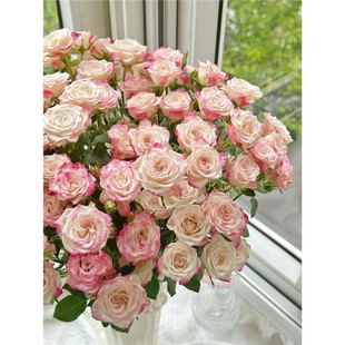 优选折射泡泡多头玫瑰水养插花花束送礼搭配云南基地直发顺丰包邮