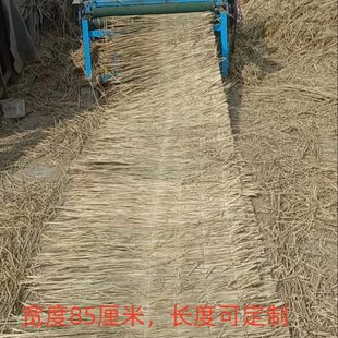 农家乐屋顶稻草装饰  稻草 稻草帘子 草垛道具干稻草制作 新稻草