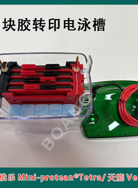 DYC-ZY4小型4块胶蛋白转印槽湿转转膜槽配件通用bio-rad伯乐/天能