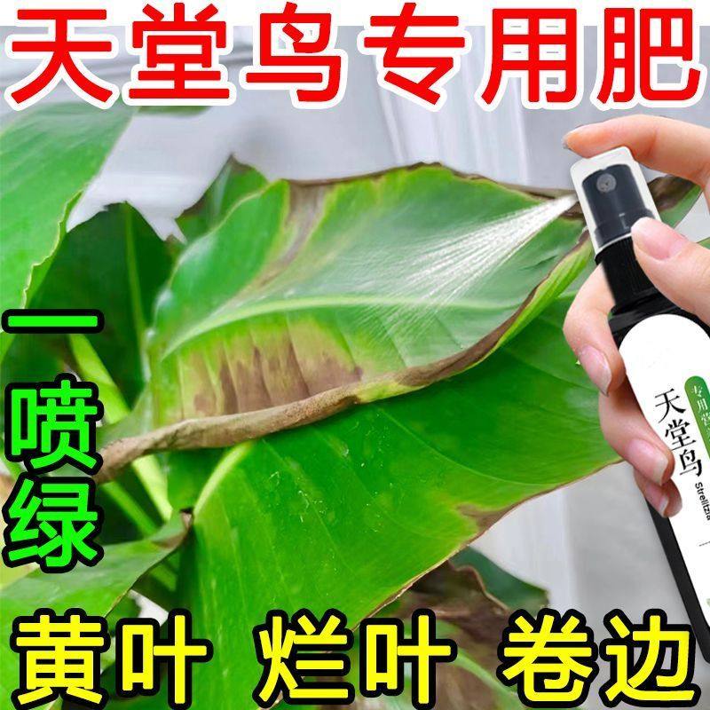 天堂鸟专用营养液促生长叶片增温和不烧根速效水溶肥宠物家庭可用