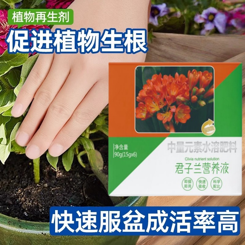 君子兰专用再生剂通用型植物复活营养液绿植盆栽花卉发黄花盆水溶