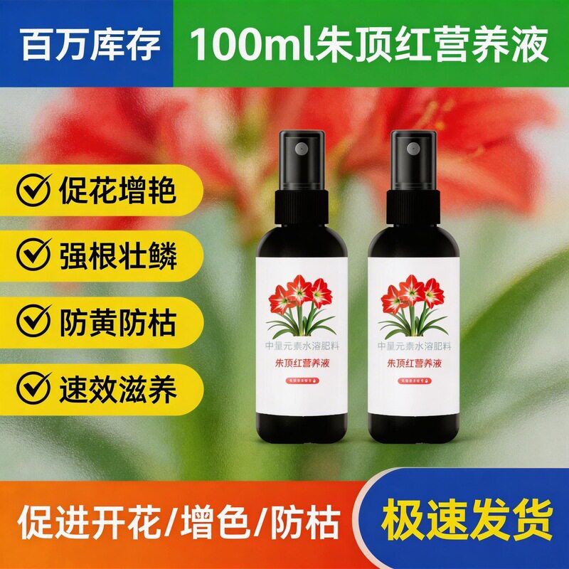 朱顶红专用营养液｜促花芽膨球图片