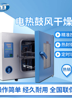 上海 一恒DHG-9055A台式电热鼓风干燥箱实验室恒温箱恒温工业烤箱