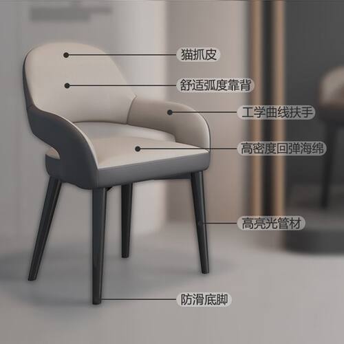 网红餐椅轻奢椅子靠背北欧酒店靠背椅餐厅洽谈休闲餐椅其他