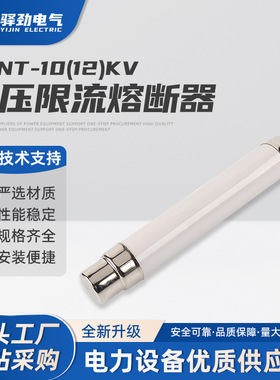XRNT-10(12)KV  3.15-40A高压熔断器保险管 箱变保险管丝熔体限流