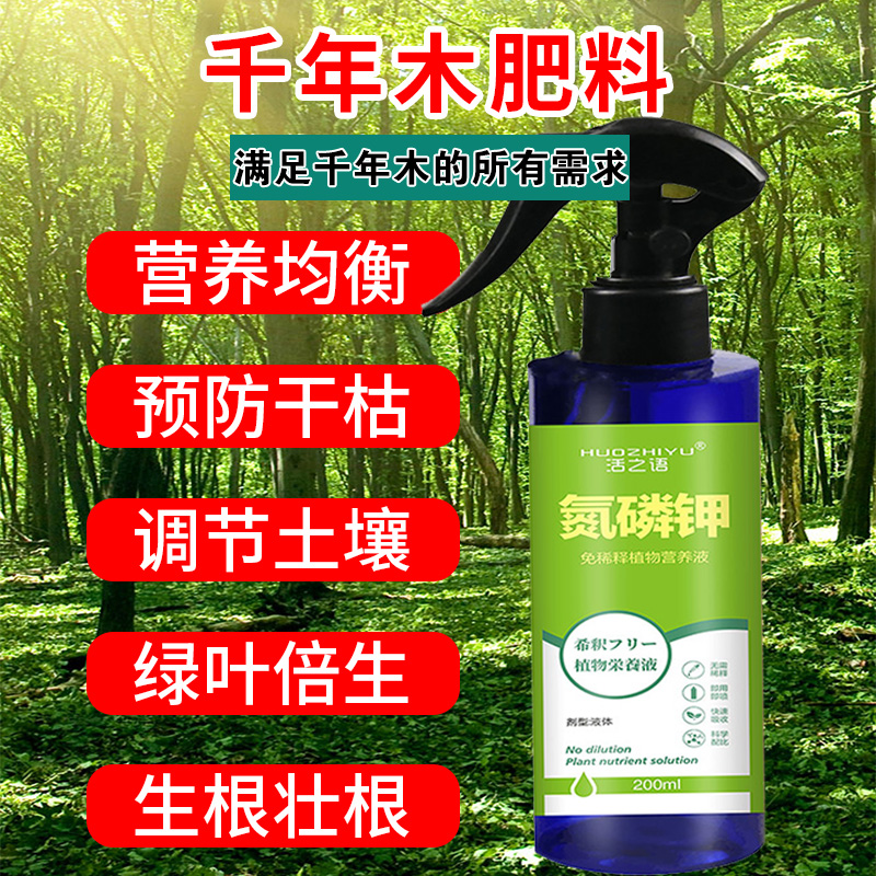 千年木烂根肥料营养液治黄叶病焦尖烂根龙血树桂花树通用型专用肥