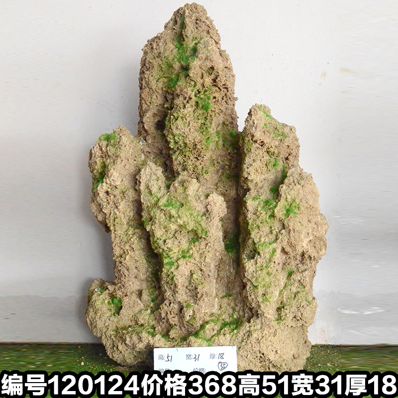 新品大型 吸水石 假山盆景w原石天然上水石芦管石水池石头流水装