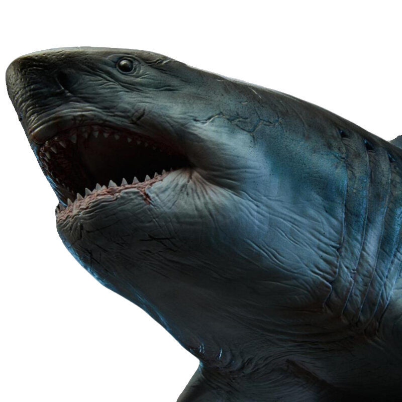 万茏堂巨齿鲨鬼颚手办雕像模型海底巨兽古生物场景摆件大白鲨