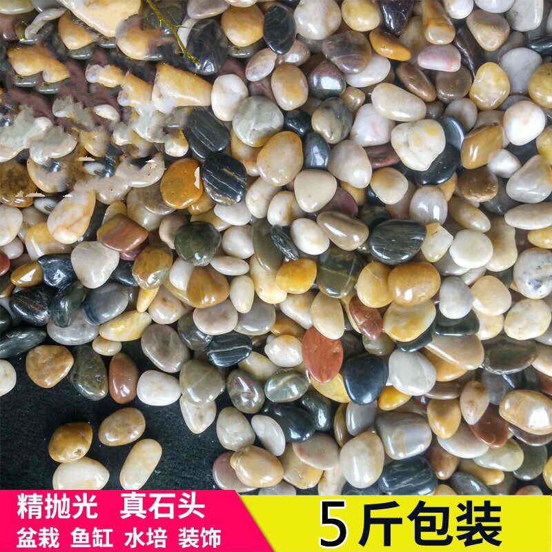 速发花盆白卵足俄娥硪蛾鹅r鸸饿石石卵底按摩垫石子 鱼缸小石子庭