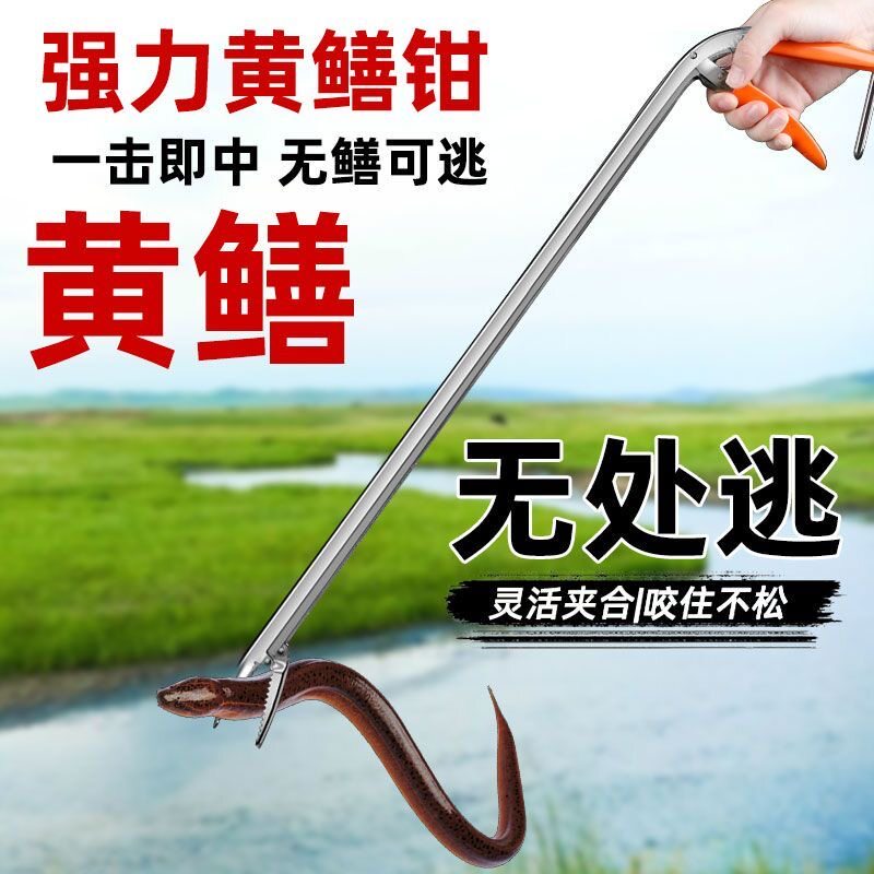 速发工厚不锈钢黄鳝夹子鳝蟹夹泥鳅螃鱼钳子防滑抓捉龙虾专用赶海