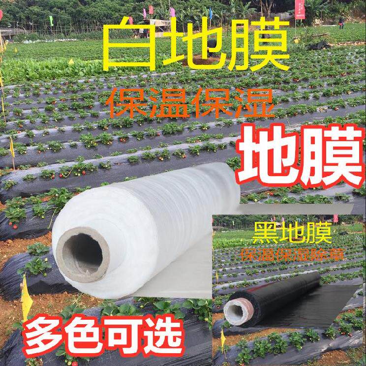 速发新品1米的透光薄膜透明pv厚拉伸果耐磨防护膜地膜农用白膜2