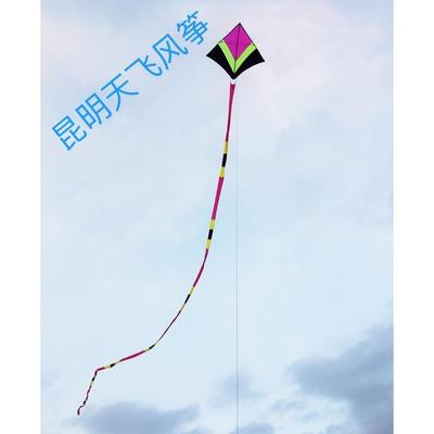 天飞高档冲天追抗风王风筝设计独特高1.5*1.8尾25米抗1.5-7级风