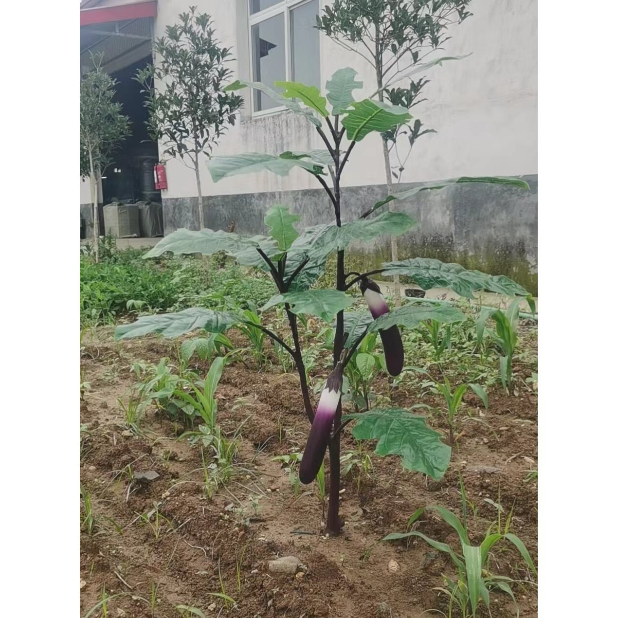 PU茄子 水果蔬菜苦瓜黄瓜装饰 酒店田园摄影家具道具厨房摆件