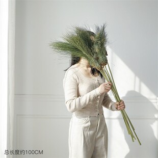 绿拂尘子纱草飘逸侘寂插花设计神器小众植物家居酒店民宿客厅软装