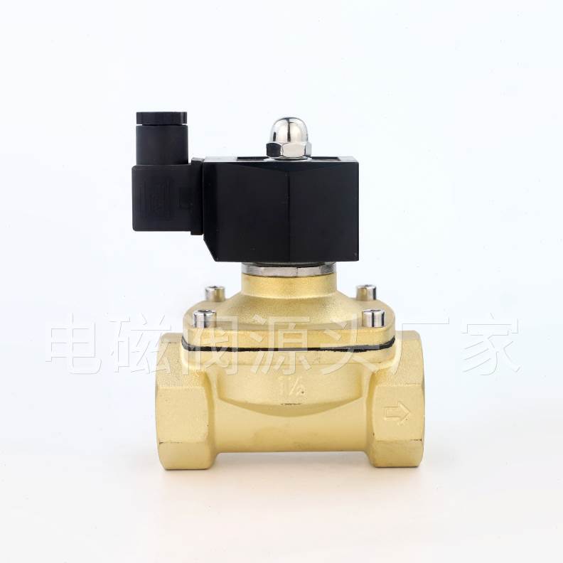 室外防水电磁阀水阀开关阀220VDC24V气阀排水防雾DC12V4分6分1寸