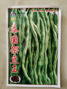 泰国架豆王豆角种子无丝豆无筋豆