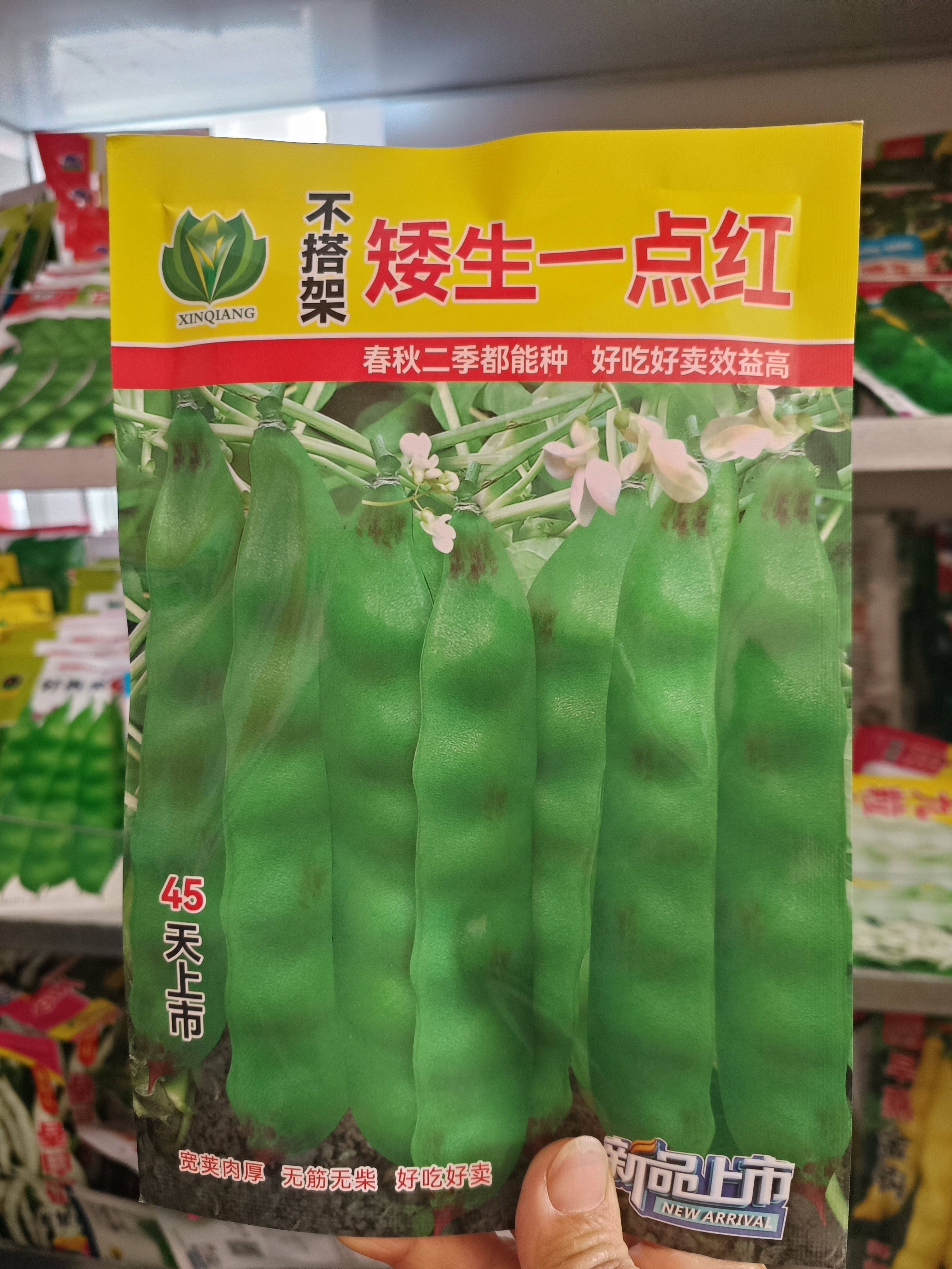 东北矮生一点红油豆无架种子图片