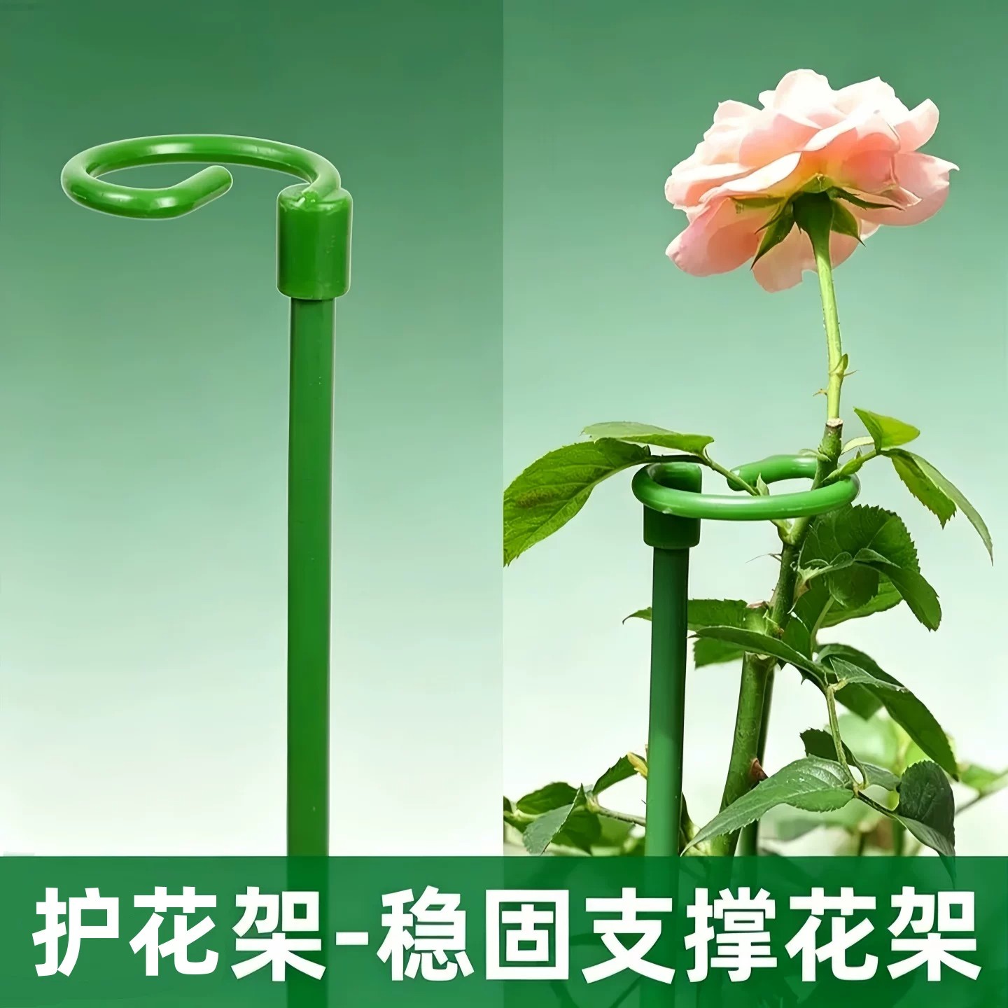 铁艺单杆植物支撑杆防倒伏庭院