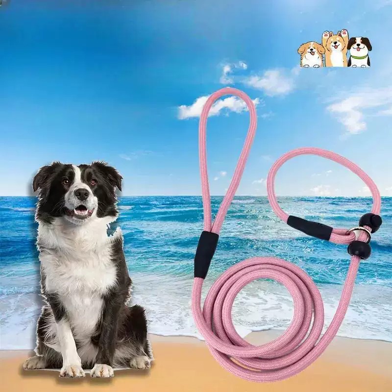 中小型犬防爆冲防挣脱P链牵引绳