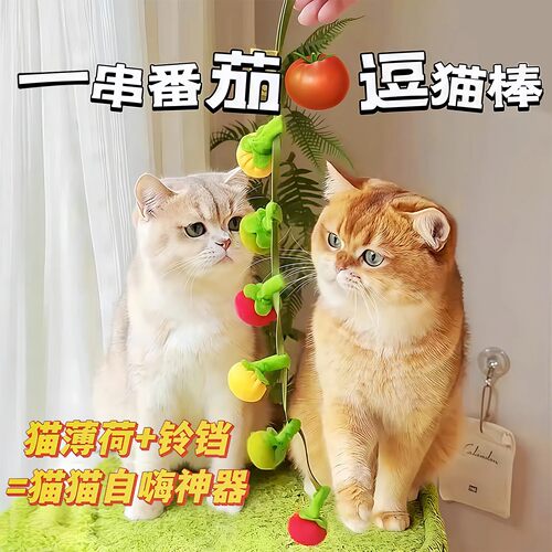 新款番茄逗猫棒耐咬猫咪玩具