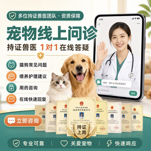 宠物医生在线问诊24小时兽医问诊猫狗异宠问诊鹦鹉兔龟鸟鹦鹉问诊
