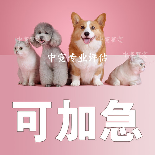 插队服务-极速鉴定-免排队 高峰时期专用免排队 加急 链接
