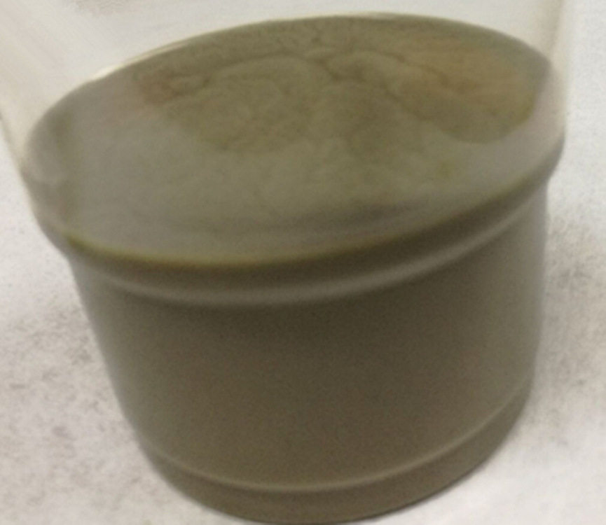 D75-105 nm, L20-60 μm纳米银线水分散液/nanoamor公司/1g
