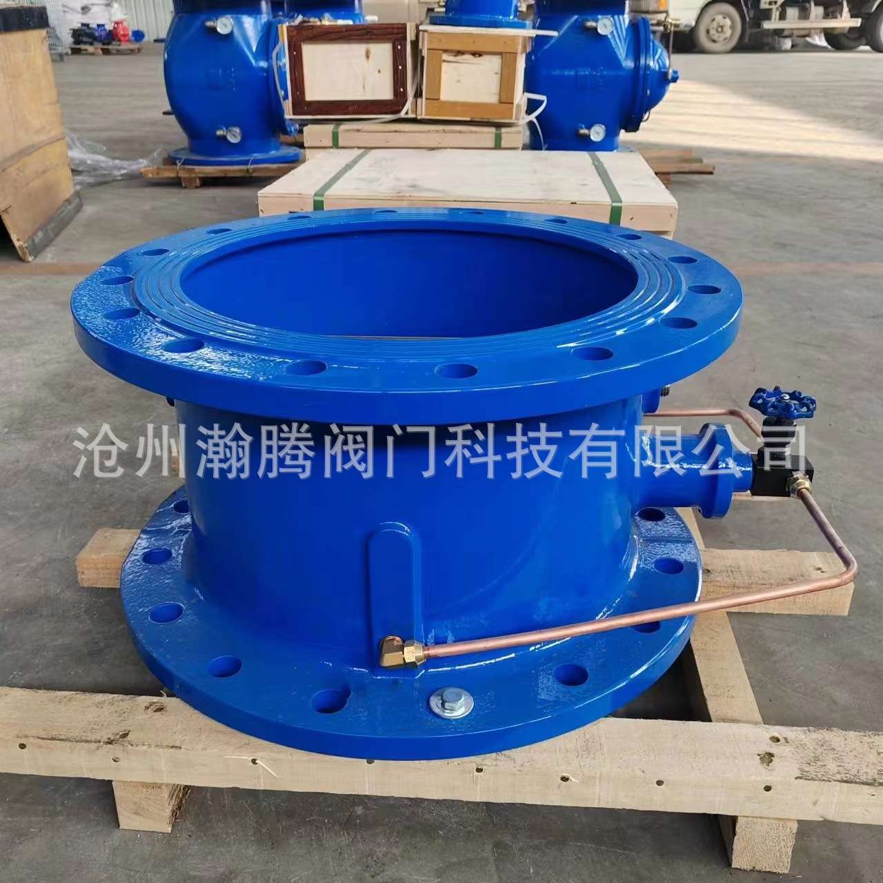 止回阀微阻缓闭蝶式止回阀缓闭式止回阀HH48XHH49X HH46X