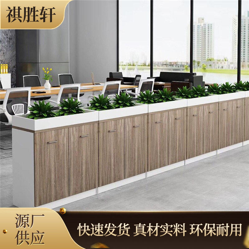 新款两门花槽装饰办公柜办公场所文件资料家具储蓄柜实木现代简约