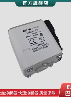 170M5394 5395 5396 5397 5398 巴斯曼bussmann快速熔断器保险丝