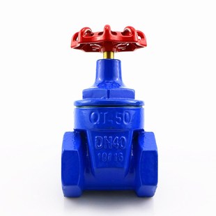 丝口软密封闸阀家用自来水开关管道水表阀Z15X 4分6分1寸DN152025