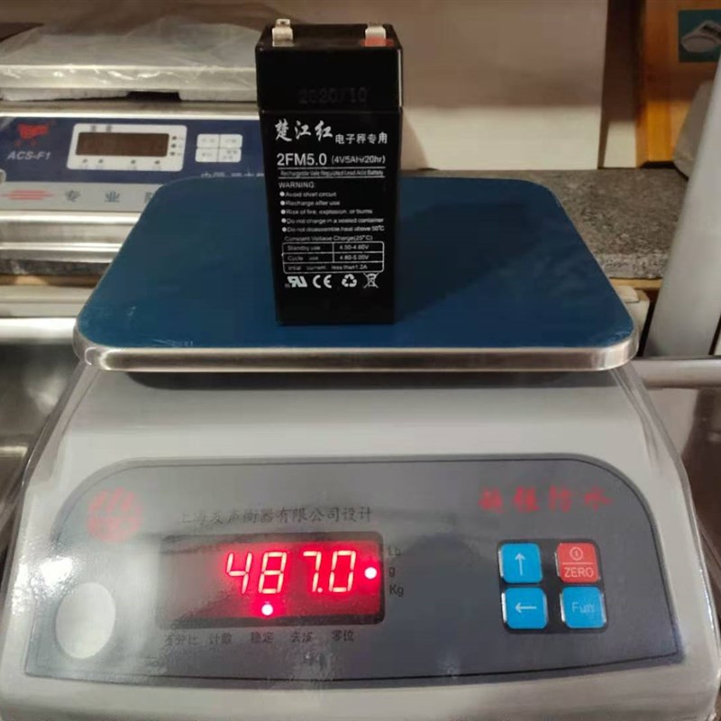 锐箭4v4ah台称4v圆孔充电器电子计价H秤蓄电池电瓶4V5ah电子秤