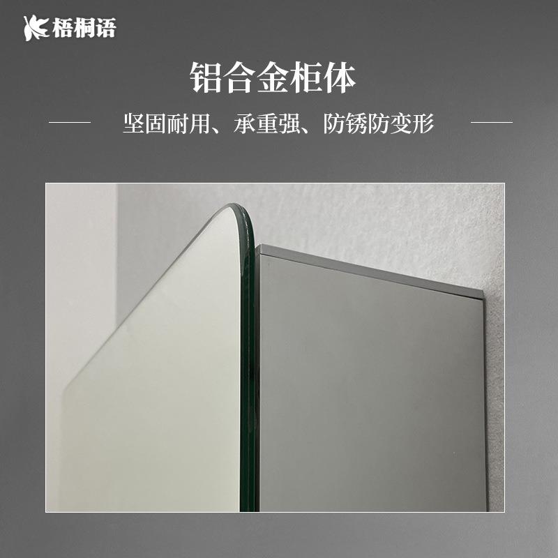 A5L镜柜小型单独太空铝浴室镜柜挂墙式卫生间置物架带镜子窄镜箱