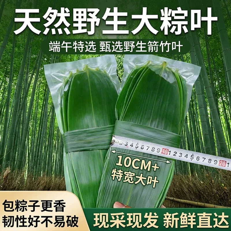 粽子叶新鲜粽叶大号免邮批发特大码箬叶端午节包粽子新叶现摘商用