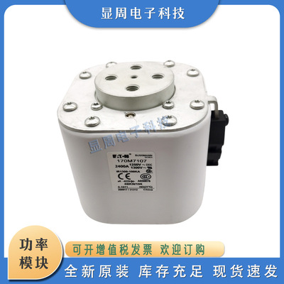 全新保险丝熔断器170M7098 170M7099 170M7100 170M7101 170M7102