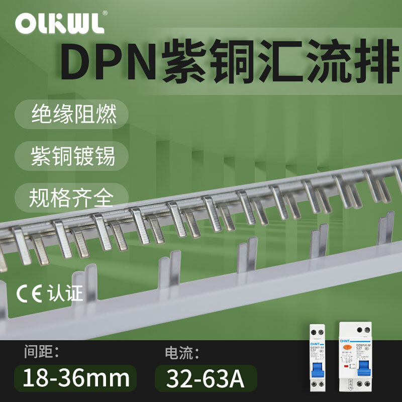 1p n漏电断路器25a32a40a50a63a空气开关dpn单p两极紫铜汇流排