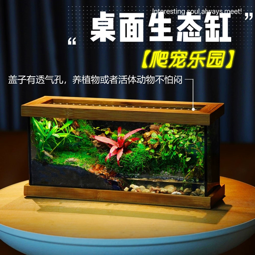 迷你室内桌面生态瓶整套成品