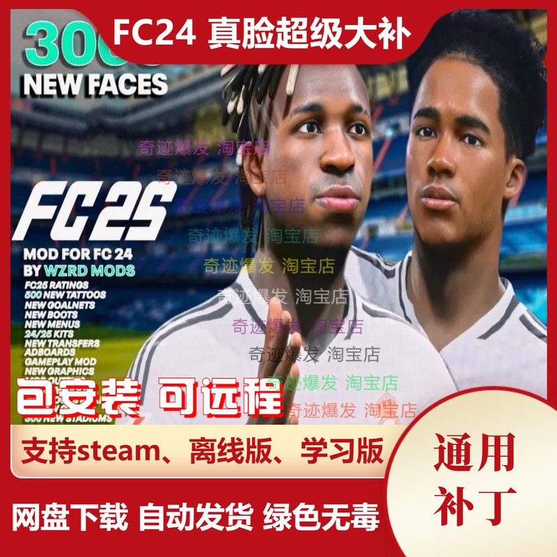 单机EA体育游戏FC24