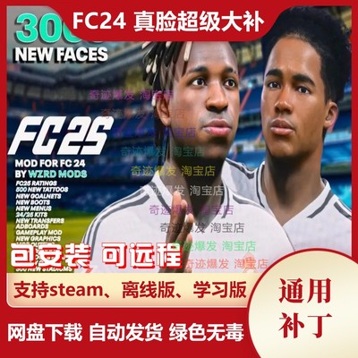 单机EA体育游戏FC24