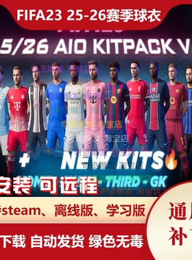 FIFA23 25-26赛季球衣补丁 新赛季新款球衣臂章队标队徽印号字体