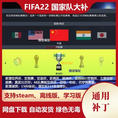 FIFA22 ENT国家队大补世界杯世预赛世俱杯欧洲杯美洲杯亚洲杯亚冠