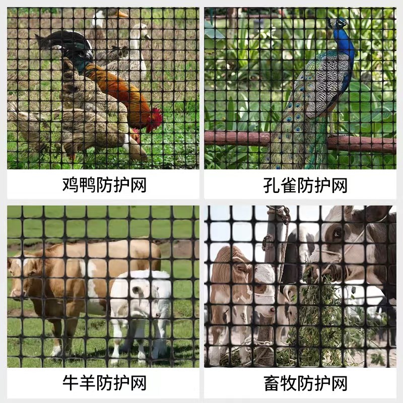 养殖围栏网家用菜园拦鸡鸭鹅栅栏户外鱼塘果园防护网圈玉米网围栏