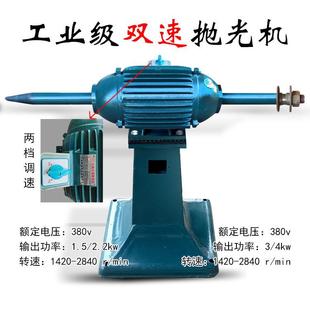 调速双速抛光机 立式 工业级大型双边尖头抛光机380V三相电抛光机