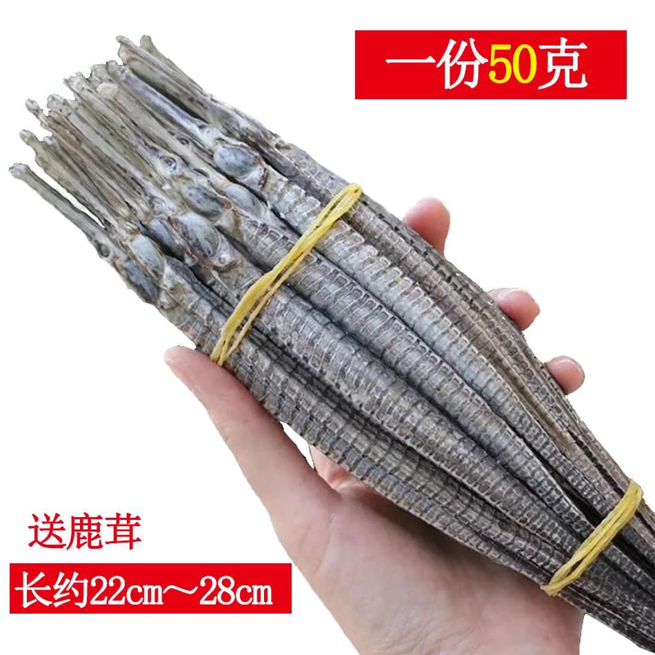包邮野生渔民自晒大刁六角海龙 天然海产干货中药材泡酒料50g