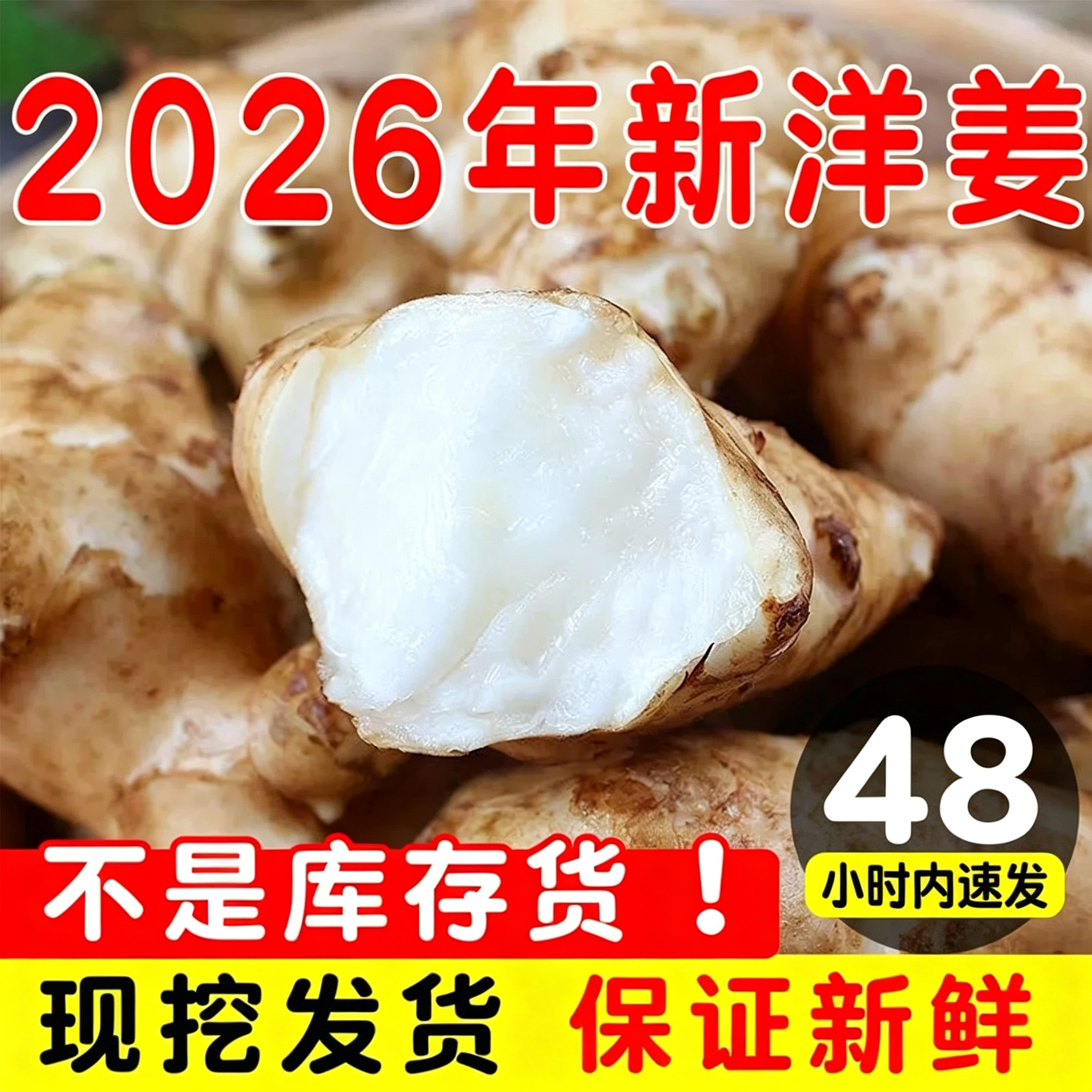 央妈推荐！洋姜新鲜现挖农家自种无添加官方旗舰店当季头茬鬼子姜