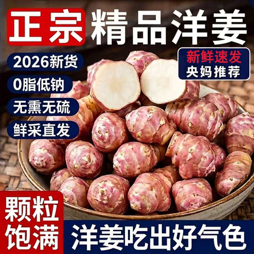 央妈推荐！洋姜新鲜现挖农家自种无添加官方旗舰店当季头茬鬼子姜