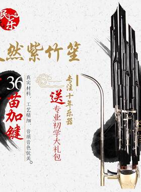 王氏专业专业演奏笙紫竹电镀黑管36簧笙乐器扩音笙方斗笙36簧笙